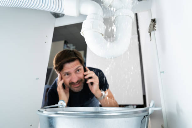 Best Plumbing Services Near Me  in Wenona, IL