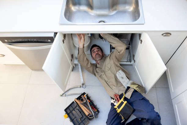 Best Plumbing Services Near Me  in Wenona, IL