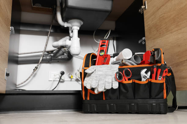 Best Plumbing Repair Near Me  in Wenona, IL