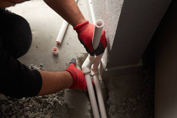 Best Same-Day Plumbing Service  in Wenona, IL