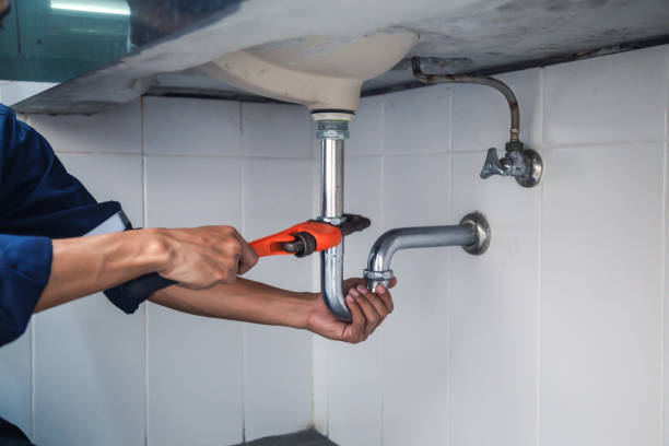Best Commercial Plumbing Services  in Wenona, IL