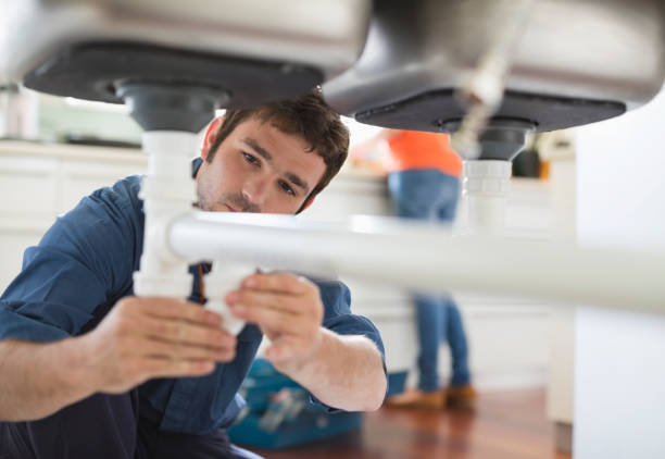 Best Clogged Drain Plumber  in Wenona, IL