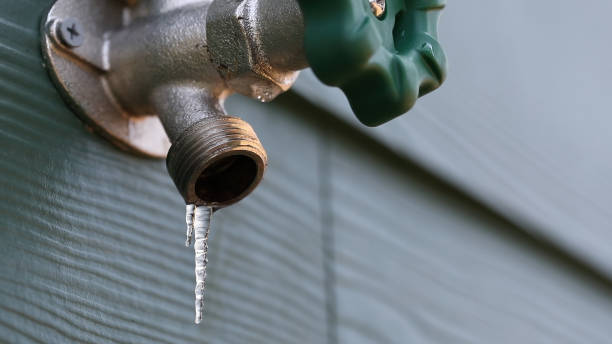 Best Plumbing Inspection Services  in Wenona, IL