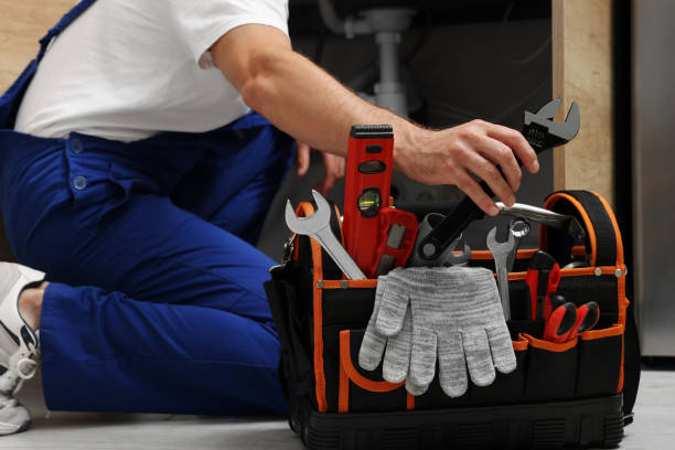 Best Affordable Plumber Near Me  in Wenona, IL