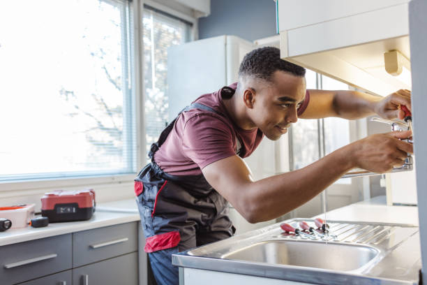 Best Local Plumber Services  in Wenona, IL