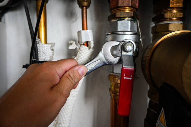 Best Toilet Repair Services  in Wenona, IL